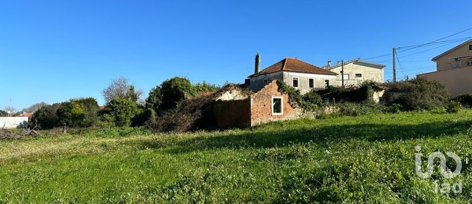 Terreno em Calvaria de Cima de 23 780 m²