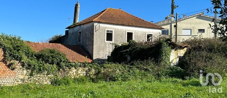 Terreno em Calvaria de Cima de 23 780 m²