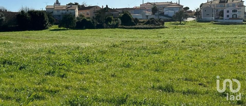 Terreno em Calvaria de Cima de 23 780 m²