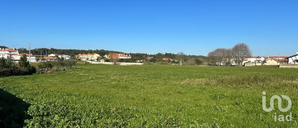 Terreno em Calvaria de Cima de 23 780 m²