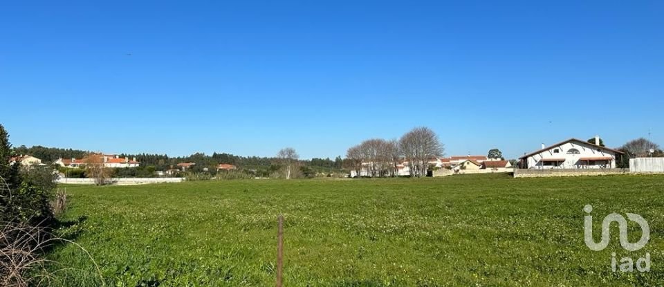 Terreno em Calvaria de Cima de 23 780 m²