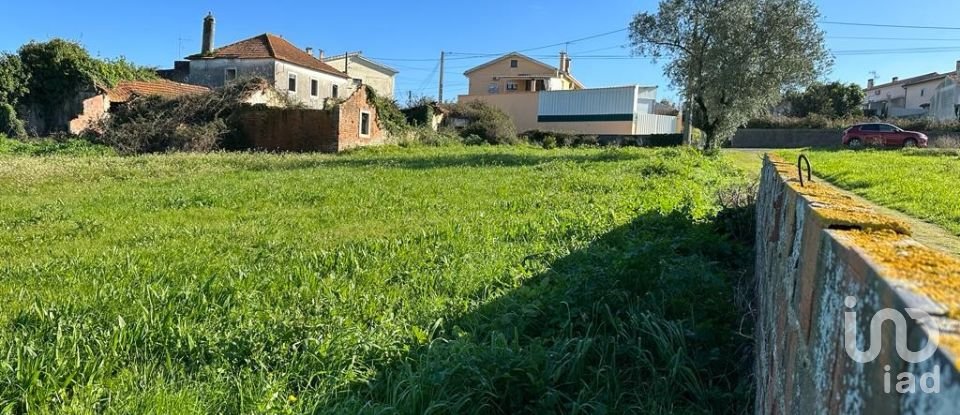 Terreno em Calvaria de Cima de 23 780 m²