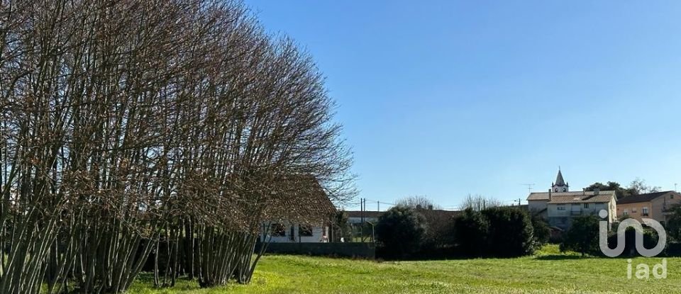 Terreno em Calvaria de Cima de 23 780 m²