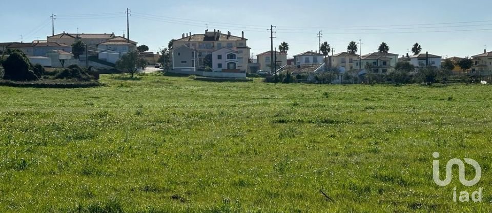 Terreno em Calvaria de Cima de 23 780 m²