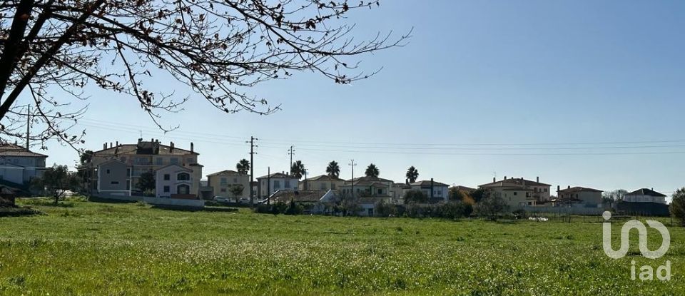 Terreno em Calvaria de Cima de 23 780 m²