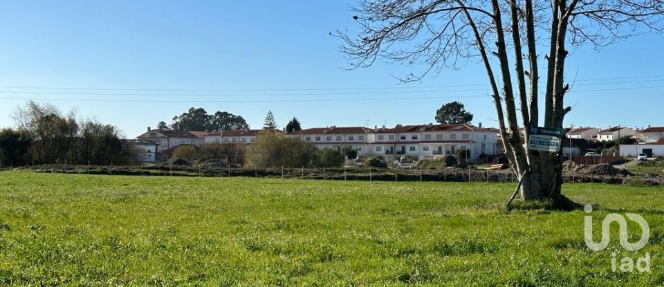 Terreno em Calvaria de Cima de 23 780 m²