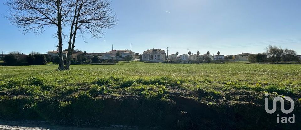 Terreno em Calvaria de Cima de 23 780 m²