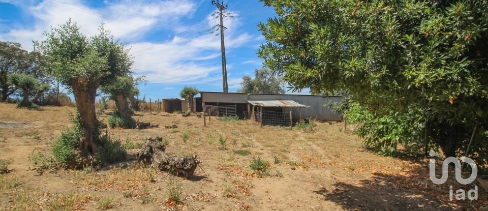 Ferme T3 à Nossa Senhora da Vila, Nossa Senhora do Bispo e Silveiras de 614 m²