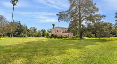 Ferme T10 à Assunção, Ajuda, Salvador e Santo Ildefonso de 1 915 m²