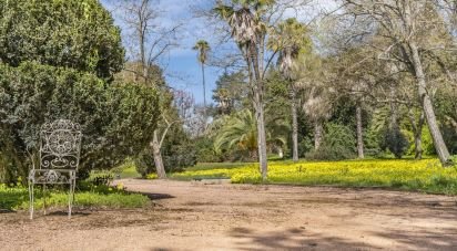 Ferme T10 à Assunção, Ajuda, Salvador e Santo Ildefonso de 1 915 m²