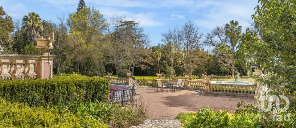Ferme T10 à Assunção, Ajuda, Salvador e Santo Ildefonso de 1 915 m²