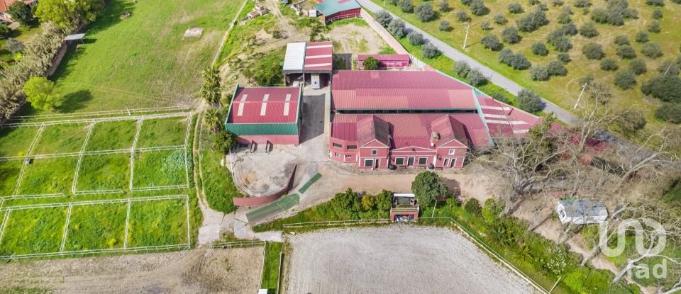 Ferme T10 à Assunção, Ajuda, Salvador e Santo Ildefonso de 1 915 m²