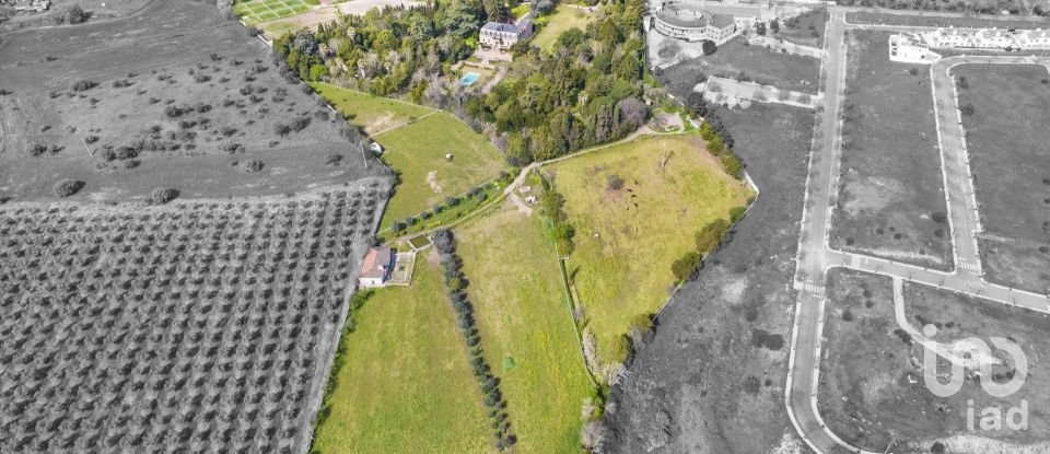 Ferme T10 à Assunção, Ajuda, Salvador e Santo Ildefonso de 1 915 m²