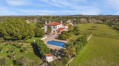 Farm T6 in Borba (Matriz) of 563 m²