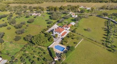 Farm T6 in Borba (Matriz) of 563 m²