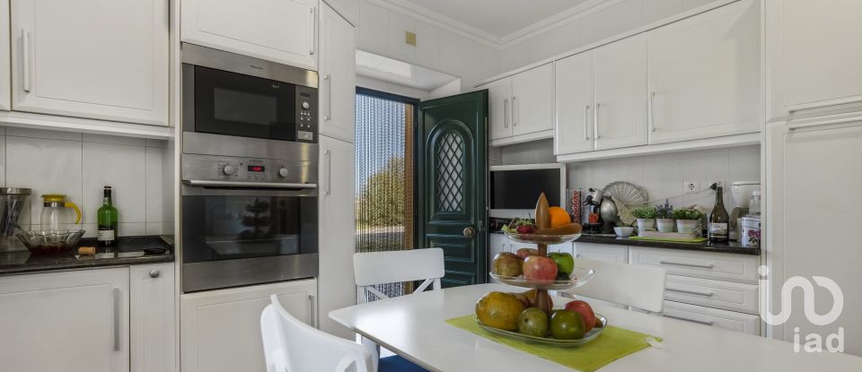 Farm T6 in Borba (Matriz) of 563 m²