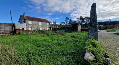 Lodge T1 in Anha of 67 m²