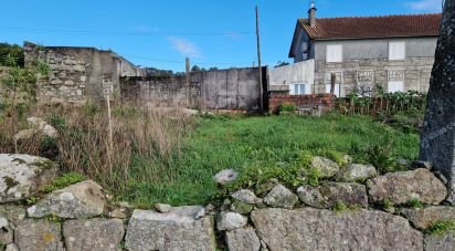 Lodge T1 in Anha of 67 m²