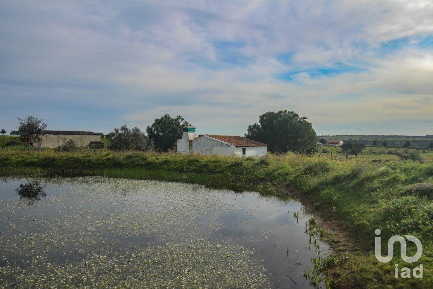 Ferme T2 à Assunção de 39 m²