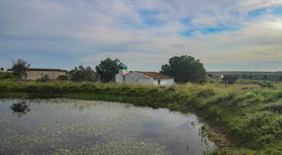 Ferme T2 à Assunção de 39 m²