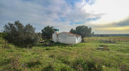 Ferme T2 à Assunção de 39 m²