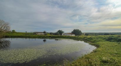 Ferme T2 à Assunção de 39 m²