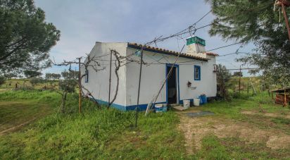 Ferme T2 à Assunção de 39 m²