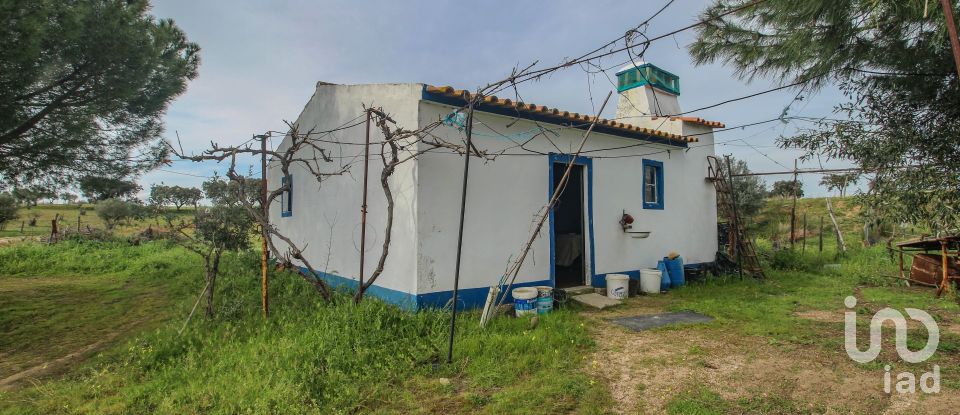 Ferme T2 à Assunção de 39 m²