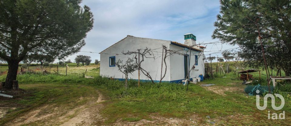 Ferme T2 à Assunção de 39 m²