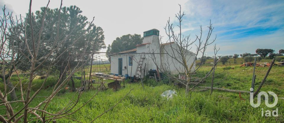 Ferme T2 à Assunção de 39 m²