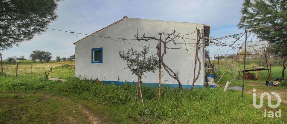 Ferme T2 à Assunção de 39 m²