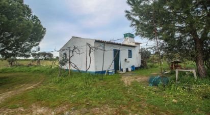 Ferme T2 à Assunção de 39 m²