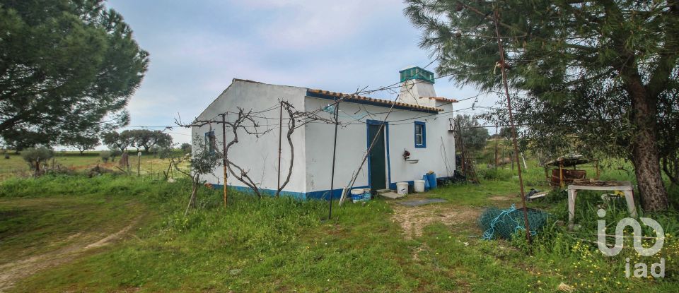 Ferme T2 à Assunção de 39 m²