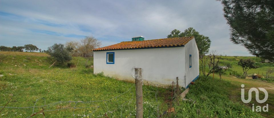 Ferme T2 à Assunção de 39 m²