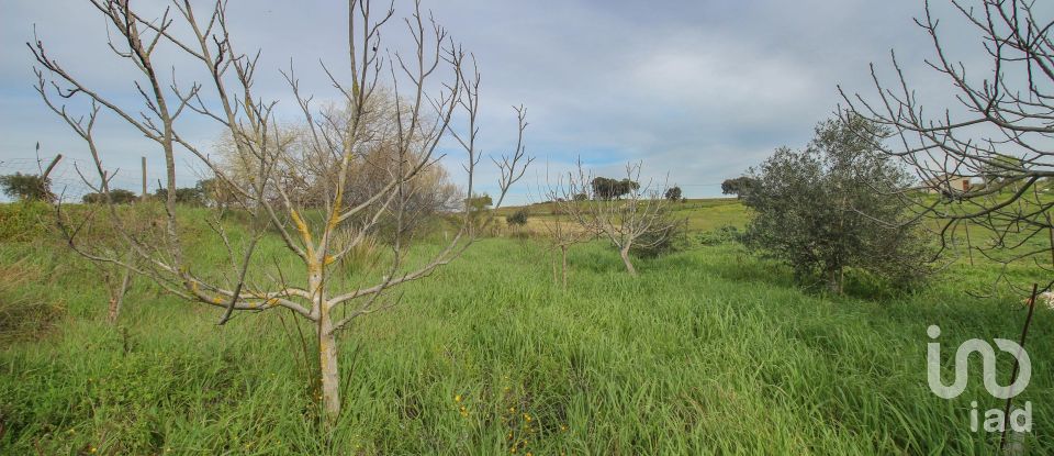 Ferme T2 à Assunção de 39 m²