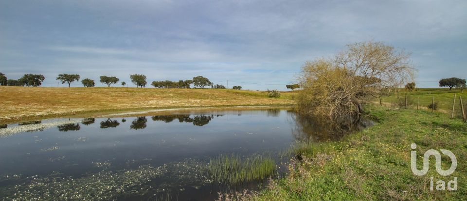 Ferme T2 à Assunção de 39 m²