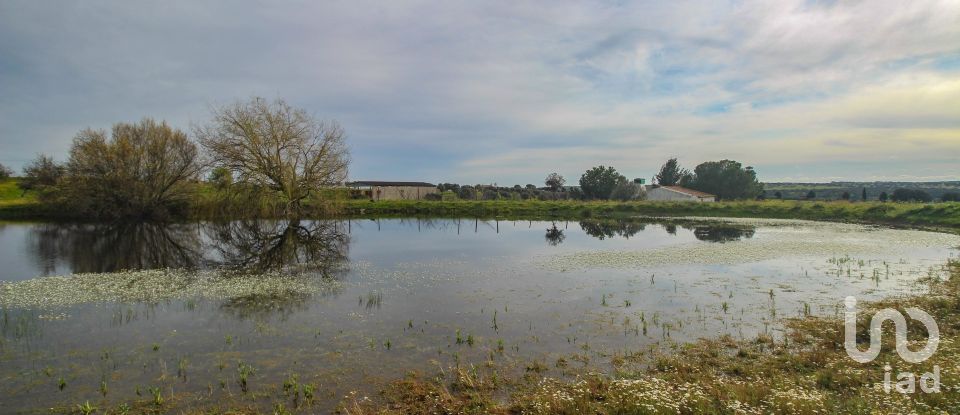 Ferme T2 à Assunção de 39 m²