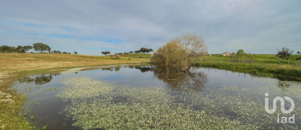 Ferme T2 à Assunção de 39 m²