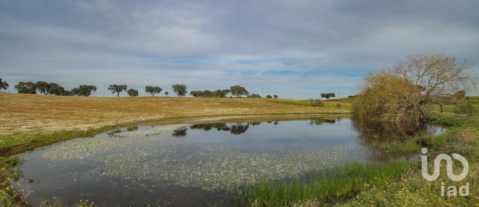 Ferme T2 à Assunção de 39 m²