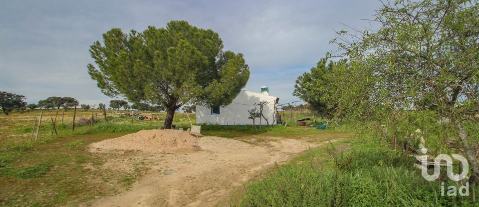 Ferme T2 à Assunção de 39 m²