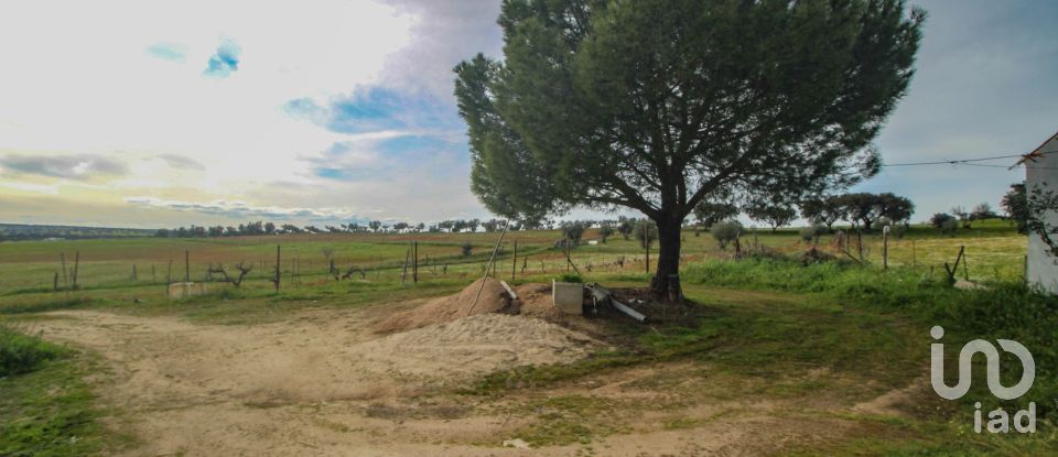 Ferme T2 à Assunção de 39 m²