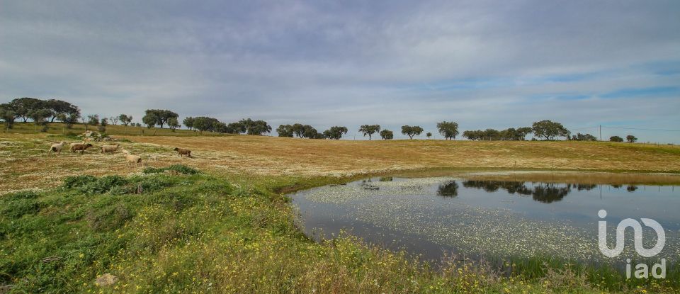 Ferme T2 à Assunção de 39 m²