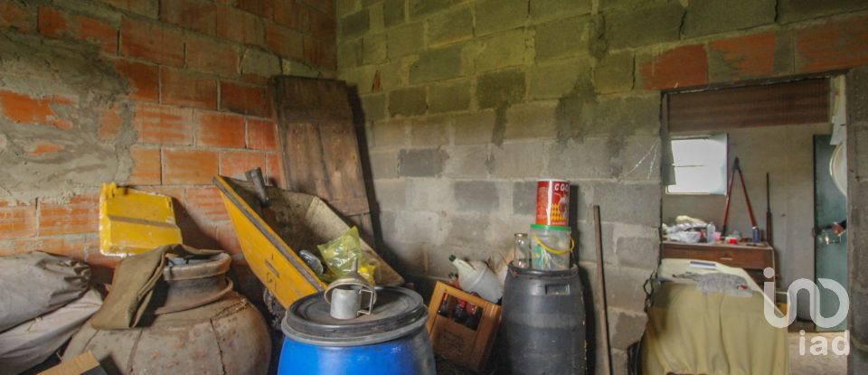 Ferme T2 à Assunção de 39 m²