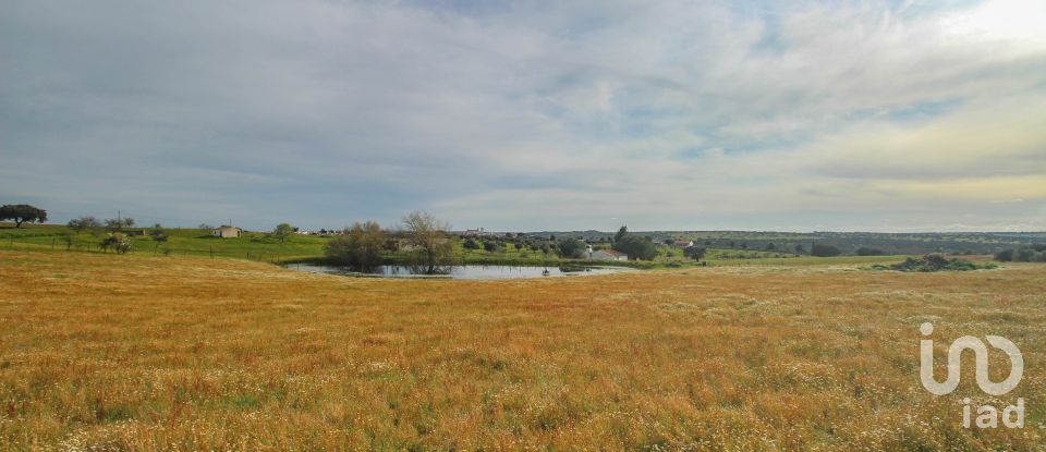 Ferme T2 à Assunção de 39 m²