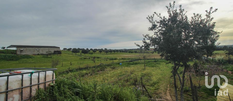 Ferme T2 à Assunção de 39 m²