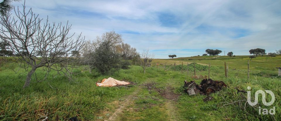 Ferme T2 à Assunção de 39 m²