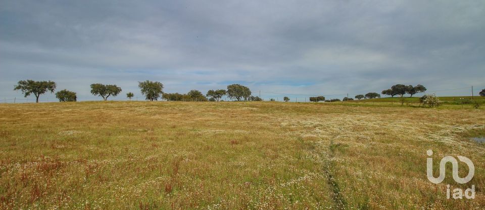 Ferme T2 à Assunção de 39 m²