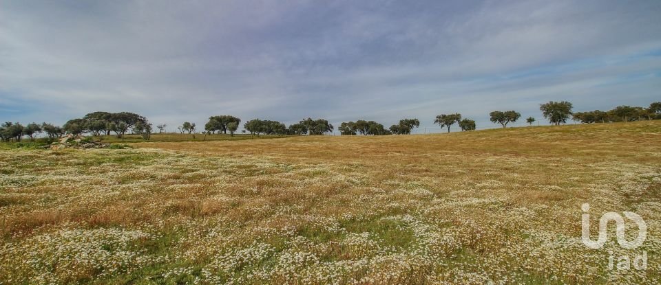 Ferme T2 à Assunção de 39 m²