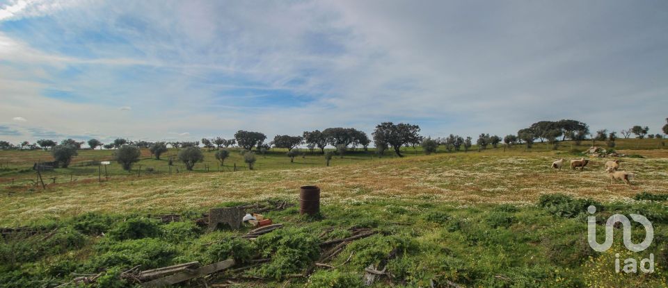 Ferme T2 à Assunção de 39 m²