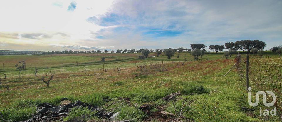 Ferme T2 à Assunção de 39 m²